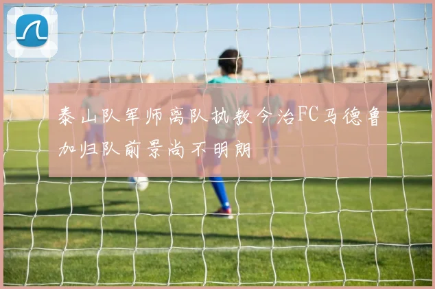 泰山队军师离队执教今治FC马德鲁加归队前景尚不明朗