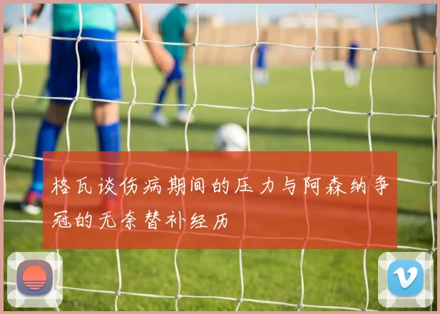 格瓦谈伤病期间的压力与阿森纳争冠的无奈替补经历